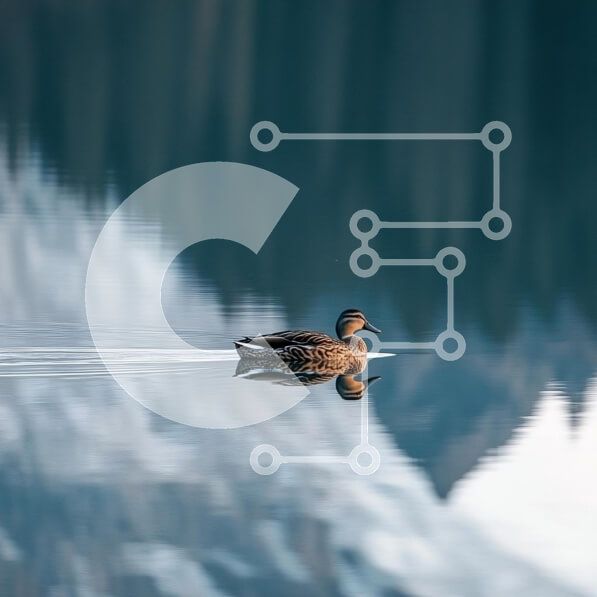 2rRGhnjIbxBUnGi9FivTYRImnmx-desktop