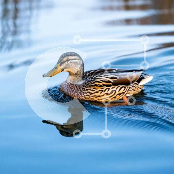 2rRGj2oH70Au8remsutpsYSf2fU-desktop