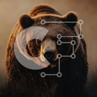 Intra Συλλεκτικό Ξύλινο Παζλ Plywood  4mm - Majestic Bear στο φυσικό φως Σε Ξύλινο Κουτί - Διαστάσεις: 10x10 cm – 25 κομμάτια - Image 1