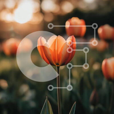 Intra Συλλεκτικό Ξύλινο Παζλ Plywood  4mm - Μονή τουλίπα στο φως της ανατολής Σε Ξύλινο Κουτί - Διαστάσεις: 10x10 cm – 25 κομμάτια - Image 1