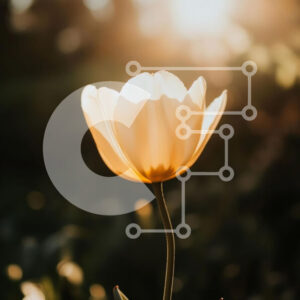 Intra Συλλεκτικό Ξύλινο Παζλ Plywood  4mm - Ηλιόλουστο λουλούδι στη φύση Σε Ξύλινο Κουτί - Διαστάσεις: 10x10 cm – 25 κομμάτια