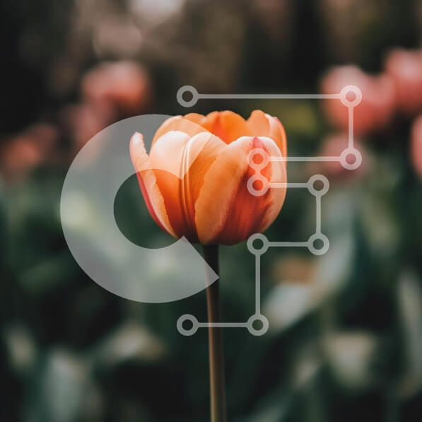 2rtpW0T6QVxN6z4fbXTJoRkpfEB-desktop