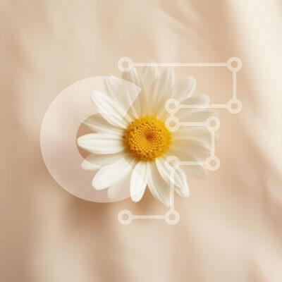 Intra Συλλεκτικό Ξύλινο Παζλ Plywood  4mm - Λουλούδι μαργαρίτας σε φόντο μαλακό ροδάκινο Σε Ξύλινο Κουτί - Διαστάσεις: 10x10 cm – 25 κομμάτια - Image 1