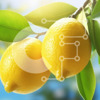 Intra Συλλεκτικό Ξύλινο Παζλ Plywood  4mm - Φρέσκα λεμόνια σε ένα κλαδί δέντρου Σε Ξύλινο Κουτί - Διαστάσεις: 10x10 cm – 25 κομμάτια - Image 1