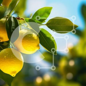 Intra Συλλεκτικό Ξύλινο Παζλ Plywood  4mm - Φρέσκα λεμόνια σε ένα δέντρο Σε Ξύλινο Κουτί - Διαστάσεις: 10x10 cm – 25 κομμάτια