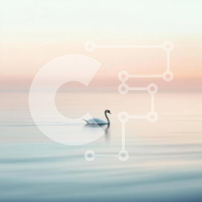 Intra Συλλεκτικό Ξύλινο Παζλ Plywood 4mm - Κύκνος που γλιστρά στα ήρεμα νερά την αυγή Σε Ξύλινο Κουτί - Διαστάσεις: 10x10 cm – 25 κομμάτια - Image 1