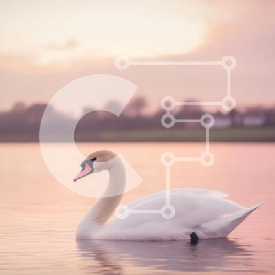 Intra Συλλεκτικό Ξύλινο Παζλ Plywood 4mm - Κύκνος που γλιστρά στο νερό στο ηλιοβασίλεμα Σε Ξύλινο Κουτί - Διαστάσεις: 10x10 cm – 25 κομμάτια - Image 1