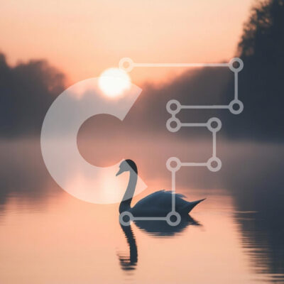 Intra Συλλεκτικό Ξύλινο Παζλ Plywood 4mm - Κύκνος στην Ανατολή Σε Ξύλινο Κουτί - Διαστάσεις: 10x10 cm – 25 κομμάτια - Image 1