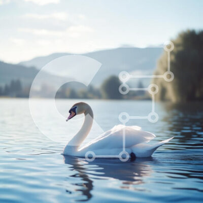 Intra Συλλεκτικό Ξύλινο Παζλ Plywood 4mm - Κύκνος σε μια λίμνη με βουνά στο βάθος Σε Ξύλινο Κουτί - Διαστάσεις: 10x10 cm – 25 κομμάτια - Image 1