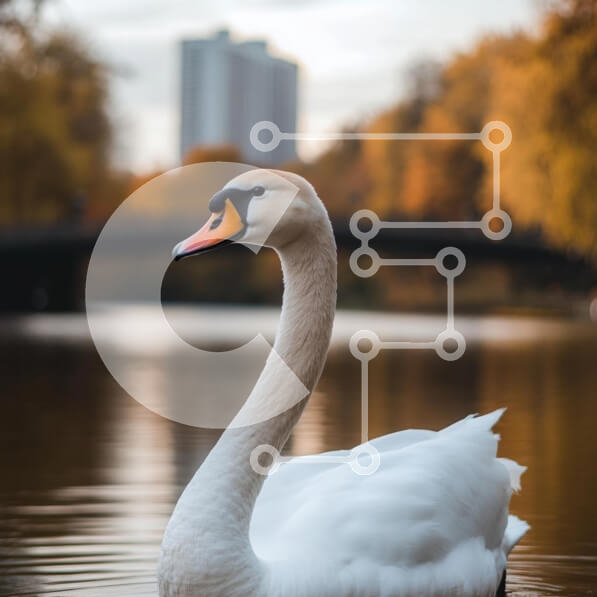 2sFon8y8x49ZdOsZHqTe4BNKZUF-desktop