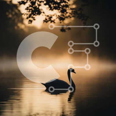 Intra Συλλεκτικό Ξύλινο Παζλ Plywood 4mm - Κύκνος σε μια ομιχλώδη λίμνη την αυγή Σε Ξύλινο Κουτί - Διαστάσεις: 10x10 cm – 25 κομμάτια - Image 1