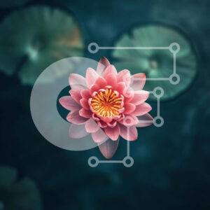 Intra Συλλεκτικό Ξύλινο Παζλ Plywood  4mm - Ροζ νούφαρο στο σκοτεινό νερό Σε Ξύλινο Κουτί - Διαστάσεις: 10x10 cm – 25 κομμάτια