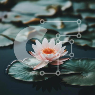 Intra Συλλεκτικό Ξύλινο Παζλ Plywood  4mm - Ανθισμένο λουλούδι λωτού σε μια γαλήνια λίμνη Σε Ξύλινο Κουτί - Διαστάσεις: 10x10 cm – 25 κομμάτια - Image 1