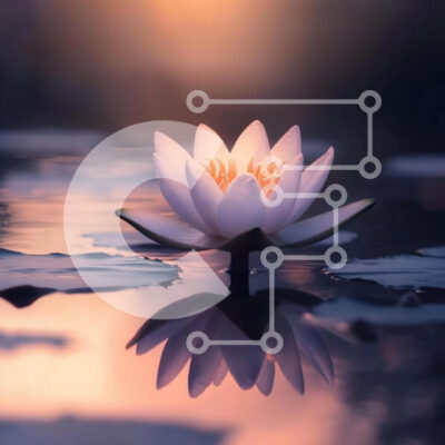 Intra Συλλεκτικό Ξύλινο Παζλ Plywood 4mm - Λευκό λουλούδι λωτού στο νερό Σε Ξύλινο Κουτί - Διαστάσεις: 10x10 cm – 25 κομμάτια - Image 1