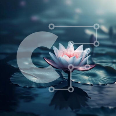 Intra Συλλεκτικό Ξύλινο Παζλ Plywood  4mm - Ροζ νούφαρο σε μια ήρεμη λίμνη Σε Ξύλινο Κουτί - Διαστάσεις: 10x10 cm – 25 κομμάτια - Image 1