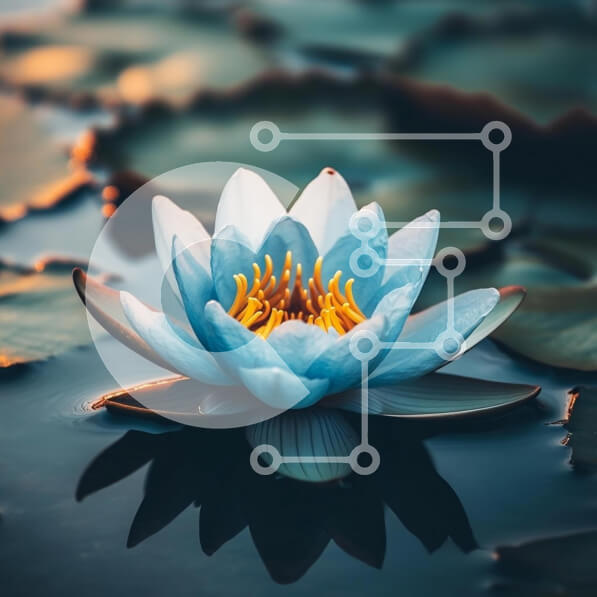 Intra Συλλεκτικό Ξύλινο Παζλ Plywood  4mm - Όμορφο μπλε νούφαρο στην ήσυχη λίμνη Σε Ξύλινο Κουτί - Διαστάσεις: 10x10 cm – 25 κομμάτια