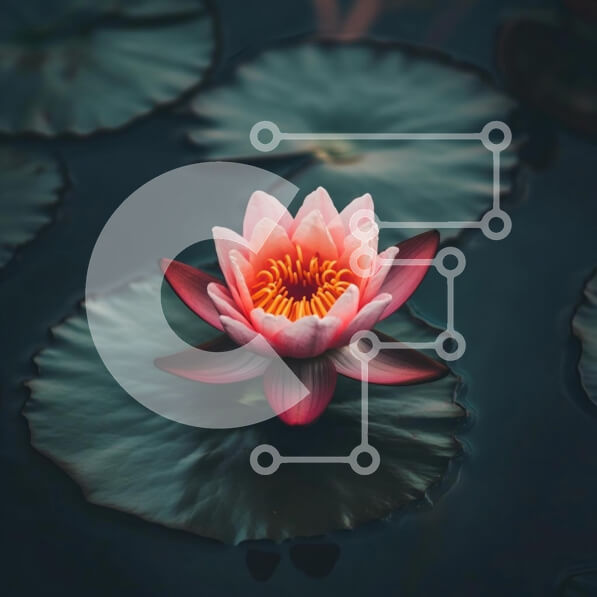 2sFqKj0TFYNdrgoPumHcwT40YMc-desktop