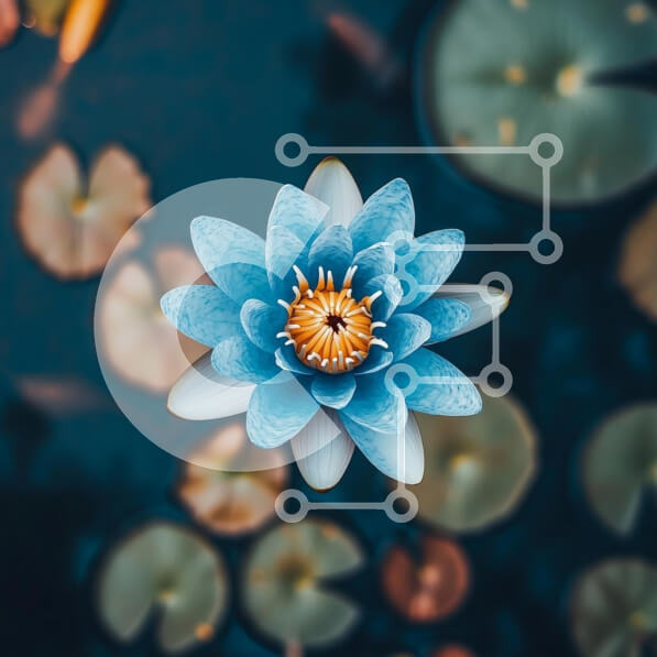 2sFqKmIhOZOppbQlWrVk1Y1QOUW-desktop