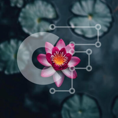 Intra Συλλεκτικό Ξύλινο Παζλ Plywood  4mm - Ανθισμένο λουλούδι λωτού στο σκοτεινό νερό Σε Ξύλινο Κουτί - Διαστάσεις: 10x10 cm – 25 κομμάτια - Image 1