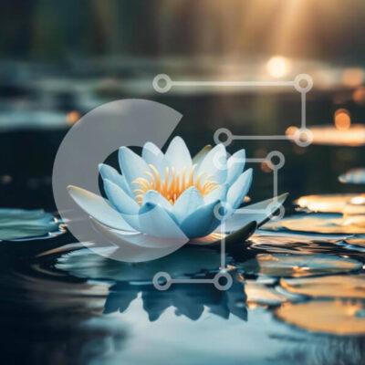 Intra Συλλεκτικό Ξύλινο Παζλ Plywood  4mm - Γαλήνιο νούφαρο σε μια ήρεμη λίμνη Σε Ξύλινο Κουτί - Διαστάσεις: 10x10 cm – 25 κομμάτια - Image 1