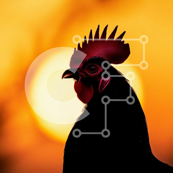 2sXH92cRMhkwUIafP7yEh9LHVWu-desktop