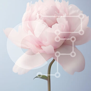 Intra Συλλεκτικό Ξύλινο Παζλ Plywood  4mm - Ροζ λουλούδι παιώνιας Σε Ξύλινο Κουτί - Διαστάσεις Puzzle: 10x10 cm – 25 κομμάτια - Image 1