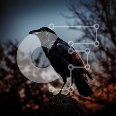 Intra Συλλεκτικό Ξύλινο Παζλ Plywood  4mm - Κοράκι στο σούρουπο Σε Ξύλινο Κουτί - Διαστάσεις: 10x10 cm – 25 κομμάτια - Image 1