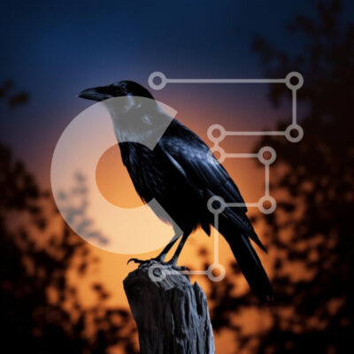 Intra Συλλεκτικό Ξύλινο Παζλ Plywood  4mm - Κοράκι σκαρφαλωμένο στο ηλιοβασίλεμα Σε Ξύλινο Κουτί - Διαστάσεις: 10x10 cm – 25 κομμάτια - Image 1