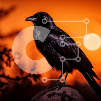 Intra Συλλεκτικό Ξύλινο Παζλ Plywood  4mm - Raven Silhouette Against Sunset Σε Ξύλινο Κουτί - Διαστάσεις: 10x10 cm – 25 κομμάτια - Image 1