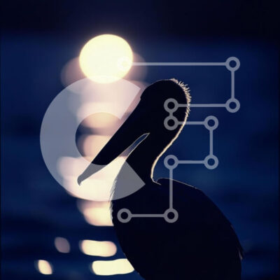 Intra Συλλεκτικό Ξύλινο Παζλ Plywood  4mm - Σιλουέτα ενός πουλιού ενάντια στο ηλιοβασίλεμα Σε Ξύλινο Κουτί - Διαστάσεις: 10x10 cm – 25 κομμάτια - Image 1