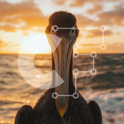 Intra Συλλεκτικό Ξύλινο Παζλ Plywood  4mm - Πελεκάνος στο ηλιοβασίλεμα δίπλα στον ωκεανό Σε Ξύλινο Κουτί - Διαστάσεις: 10x10 cm – 25 κομμάτια - Image 1