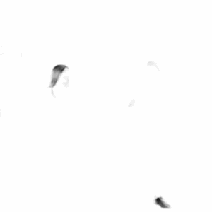 qqqqqqqqqqqq2332 - Image 8