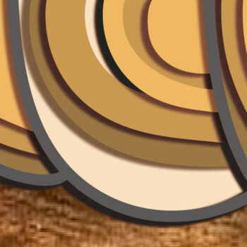 Intra απο ξύλο plywood 3mm-4mm πάχος 3d Layered Pumpkin , Multilayer Δίασταση 15x15 cm INTRAFABR-72594589 - Image 5