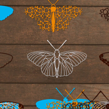 Intra απο ξύλο plywood 3mm-4mm πάχος 3D Layered Butterfly. 3D Mandala Δίασταση 10x10 cm INTRAFABR-25084247 - Image 2
