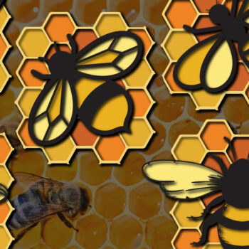 Intra απο ξύλο plywood 3mm-4mm πάχος Δέσμη 3D πολλαπλών στρώσεων Bee , Cut Δίασταση 15x15 cm INTRAFABR-25160994 - Image 1