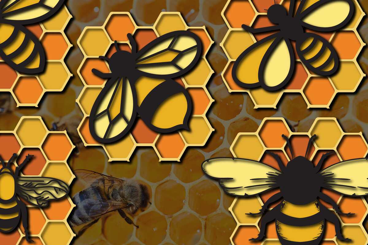 Intra απο ξύλο plywood 3mm-4mm πάχος Δέσμη 3D πολλαπλών στρώσεων Bee , Cut Δίασταση 15x15 cm INTRAFABR-25160994