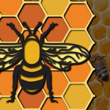 Intra απο ξύλο plywood 3mm-4mm πάχος Δέσμη 3D πολλαπλών στρώσεων Bee , Cut Δίασταση 15x15 cm INTRAFABR-25160994 - Image 2