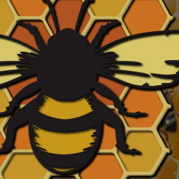 Intra απο ξύλο plywood 3mm-4mm πάχος Δέσμη 3D πολλαπλών στρώσεων Bee , Cut Δίασταση 15x15 cm INTRAFABR-25160994 - Image 3