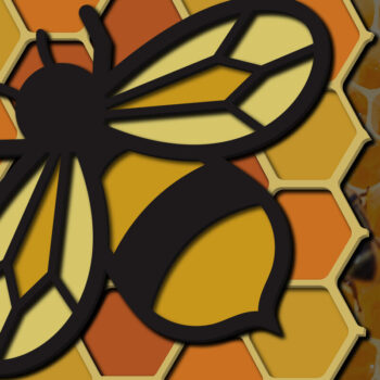 Intra απο ξύλο plywood 3mm-4mm πάχος Δέσμη 3D πολλαπλών στρώσεων Bee , Cut Δίασταση 15x15 cm INTRAFABR-25160994 - Image 4