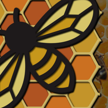 Intra απο ξύλο plywood 3mm-4mm πάχος 3D Multi-Layered Bee Δίασταση 15x15 cm INTRAFABR-25160471 - Image 1