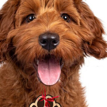 Intra απο ξύλο plywood 3mm-4mm πάχος Στολίδι 3D Paw Print Layered Δίασταση 8x8 cm INTRAFABR-26356536 - Image 3