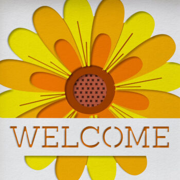 Intra απο ξύλο plywood 3mm-4mm πάχος 3D Sunflower Shadow Box , Layered Δίασταση 30x30 cm INTRAFABR-75625601 - Image 2