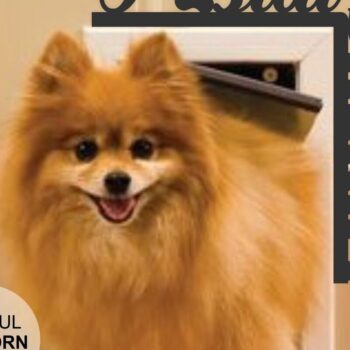 Intra απο ξύλο plywood 3mm-4mm πάχος 6 Dog Door Corners Δίασταση 17x18 cm INTRAFABR-32901016 - Image 3