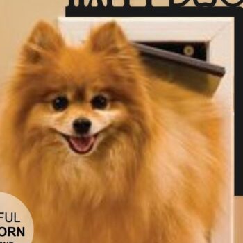 Intra απο ξύλο plywood 3mm-4mm πάχος 6 Dog Door Corners Δίασταση 17x18 cm INTRAFABR-32901016 - Image 7