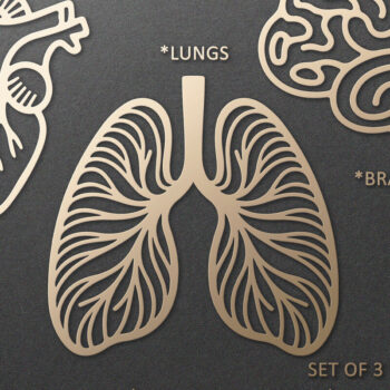 Intra απο ξύλο plywood 3mm-4mm πάχος Ανατομική καρδιάς, εγκεφάλου, πνευμόνων Δίασταση 7x7 cm INTRAFABR-121898337 - Image 1
