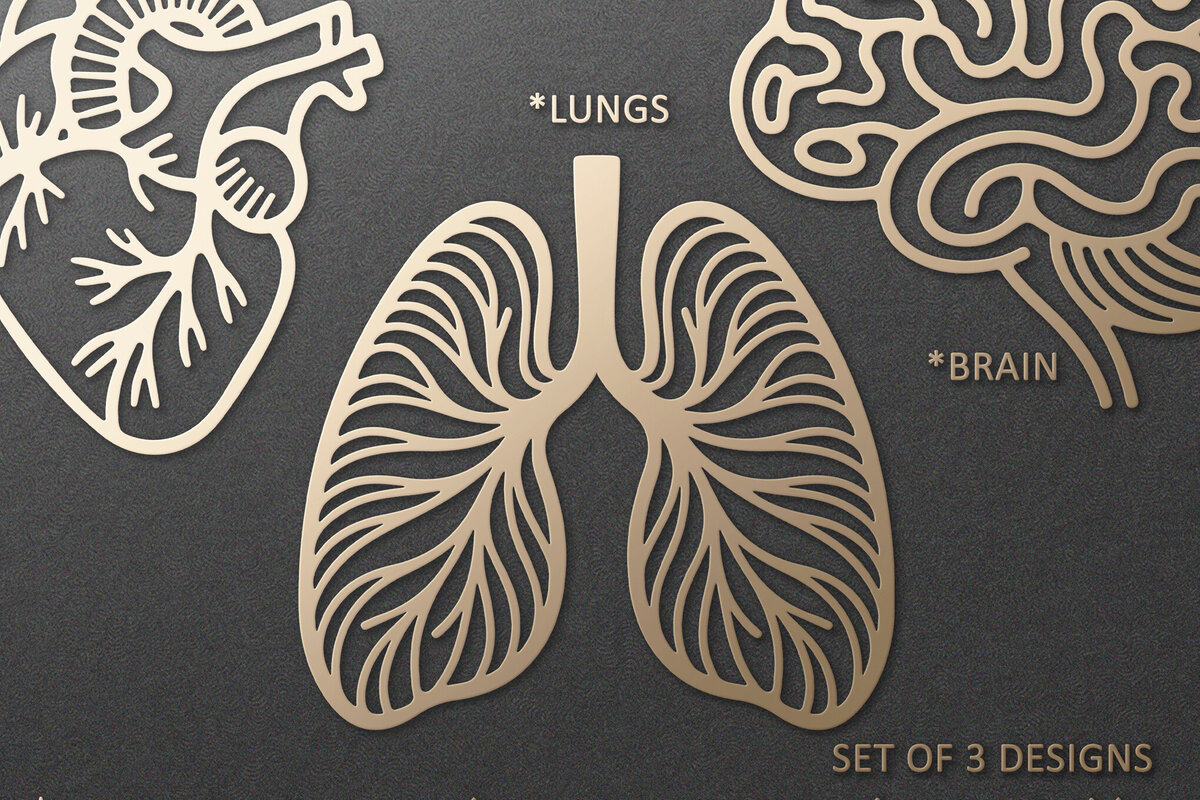 Intra απο ξύλο plywood 3mm-4mm πάχος Ανατομική καρδιάς, εγκεφάλου, πνευμόνων Δίασταση 7x7 cm INTRAFABR-121898337