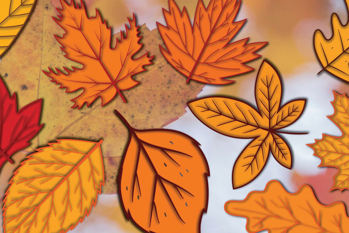 Intra απο ξύλο plywood 3mm-4mm πάχος Φθινοπωρινά φύλλα Χαρτί κοπής Δίασταση 1200x1200 cm INTRAFABR-19103826