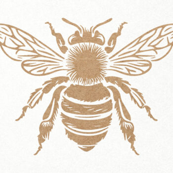 Intra απο ξύλο plywood 3mm-4mm πάχος Bee . Honey Bee . Χαρακτική μελισσών Δίασταση 7x7 cm INTRAFABR-102848085 - Image 1