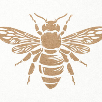 Intra απο ξύλο plywood 3mm-4mm πάχος Bee . Honey Bee . Χαρακτική μελισσών Δίασταση 7x7 cm INTRAFABR-102848121 - Image 1