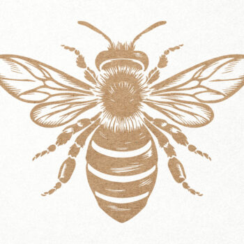 Intra απο ξύλο plywood 3mm-4mm πάχος Bee . Honey Bee . Χαρακτική μελισσών Δίασταση 7x7 cm INTRAFABR-102847983 - Image 1